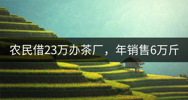 農(nóng)民借23萬(wàn)辦茶廠，年銷售6萬(wàn)斤，每天休息僅20分鐘!農(nóng)民借23萬(wàn)辦茶廠，年銷售6萬(wàn)斤，每天休息僅20分鐘！