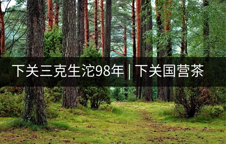 下關(guān)三克生沱98年 | 下關(guān)國營茶廠出口料，干倉儲存，...下關(guān)三克生沱98年 | 下關(guān)國營茶廠出口料，干倉儲存，19年老茶！