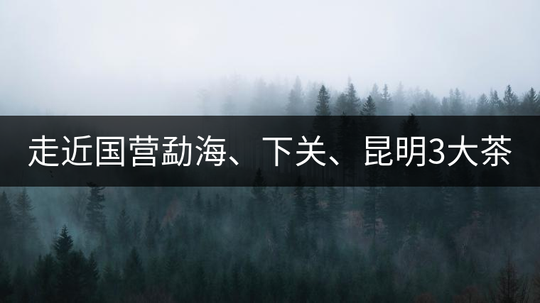 走近國(guó)營(yíng)勐海、下關(guān)、昆明3大茶廠，傳世代表作的發(fā)展詳...走近國(guó)營(yíng)勐海、下關(guān)、昆明3大茶廠，傳世代表作的發(fā)展詳解