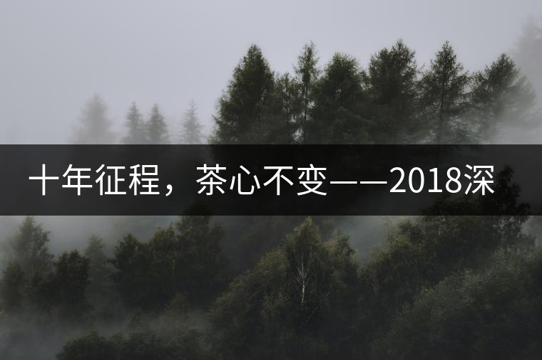 十年征程，茶心不變——2018深圳秋季茶博會12月13日隆重開幕！