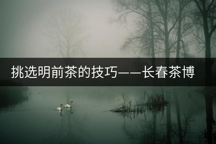 挑選明前茶的技巧——長春茶博會