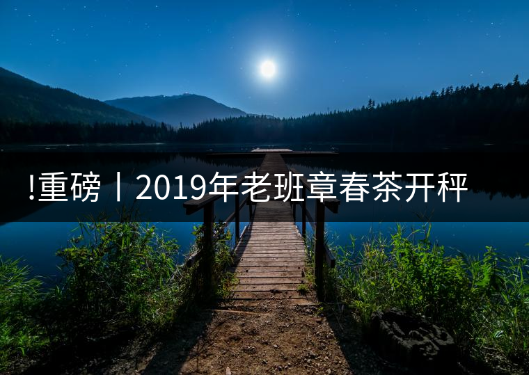 !重磅丨2019年老班章春茶開秤，一筆定價(jià)？如此出人意料！