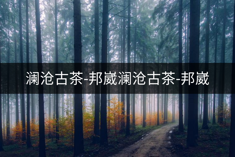 瀾滄古茶-邦崴瀾滄古茶-邦崴 瀾滄古茶-邦崴瀾滄古茶-邦崴