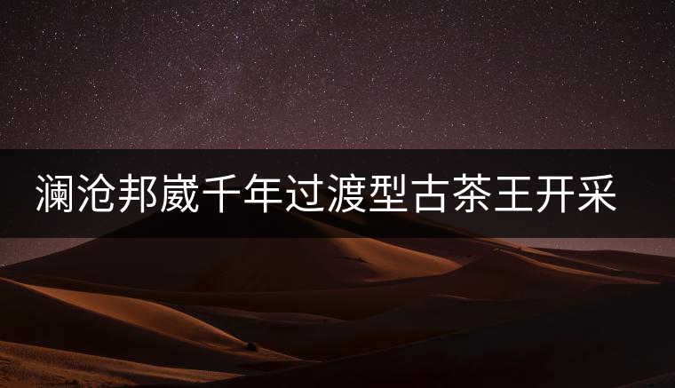瀾滄邦崴千年過渡型古茶王開采瀾滄邦崴千年過渡型古茶王開采 瀾滄邦崴千年過渡型古茶王開采瀾滄邦崴千年過渡型古茶王開采