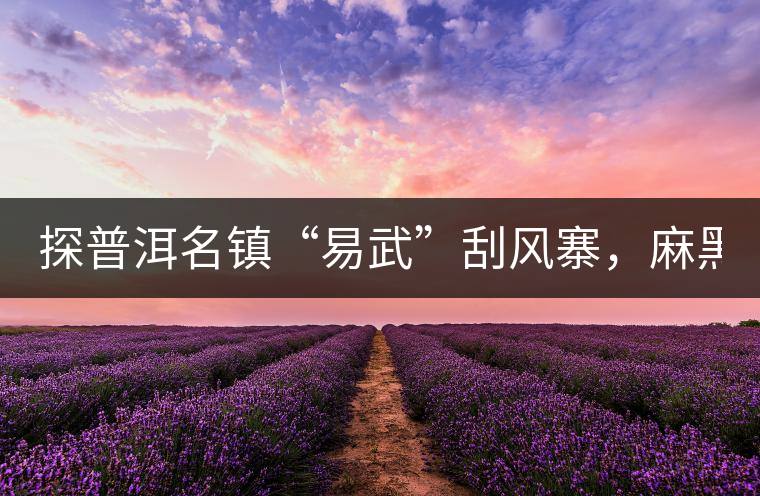 探普洱名鎮(zhèn)“易武”刮風(fēng)寨，麻黑，落水洞!小編親自下...探普洱名鎮(zhèn)“易武”刮風(fēng)寨，麻黑，落水洞！小編親自下手“殺青”