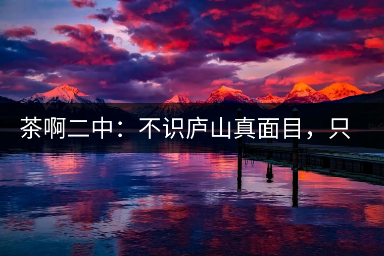 茶啊二中：不識廬山真面目，只識彎弓射大雕，賈淳真搞笑