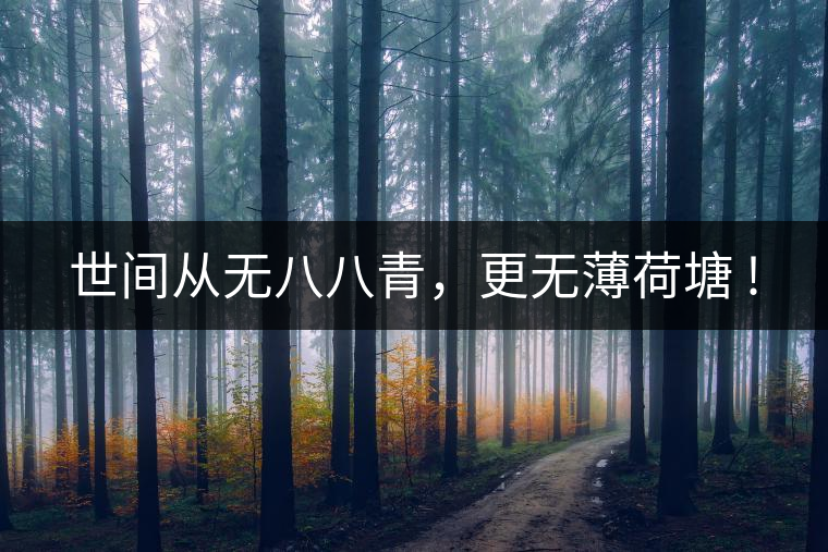 世間從無八八青，更無薄荷塘 !