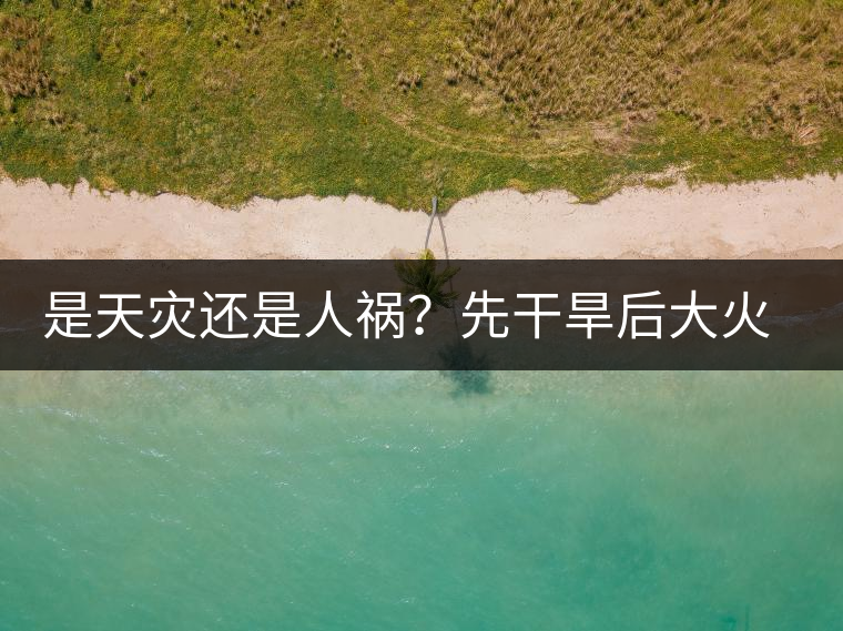 是天災(zāi)還是人禍？先干旱后大火，普洱茶將何去何從？