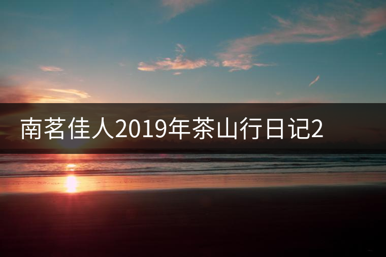南茗佳人2019年茶山行日記2：彎弓——國有林深處的茶香飄揚