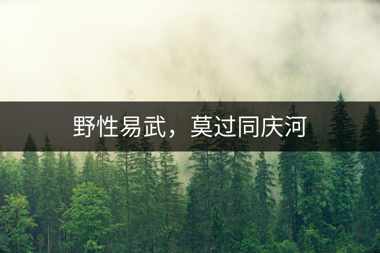 野性易武，莫過同慶河