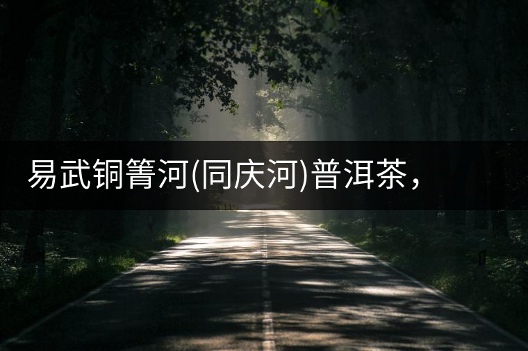 易武銅箐河(同慶河)普洱茶，讓我拜倒的不止它的口感易武銅箐河（同慶河）普洱茶，讓我拜倒的不止它的口感