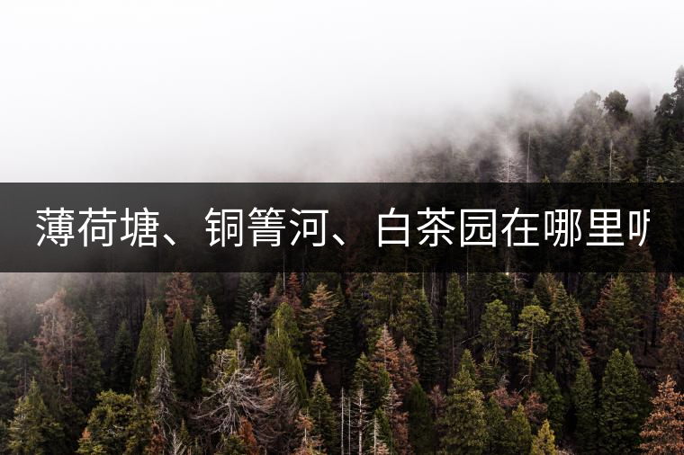 薄荷塘、銅箐河、白茶園在哪里呢?薄荷塘、銅箐河、白茶園在哪里呢？