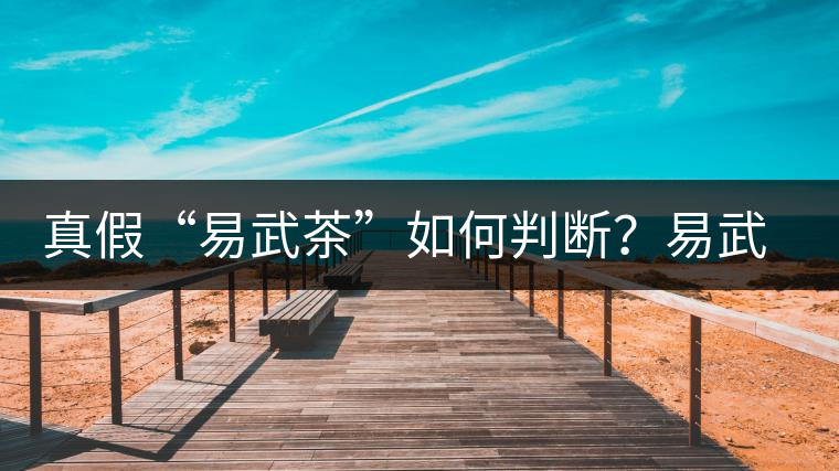 真假“易武茶”如何判斷？易武普洱茶有哪些特點？