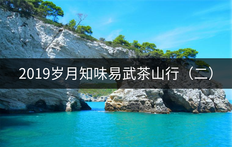 2019歲月知味易武茶山行(二) 2019歲月知味易武茶山行(二)
