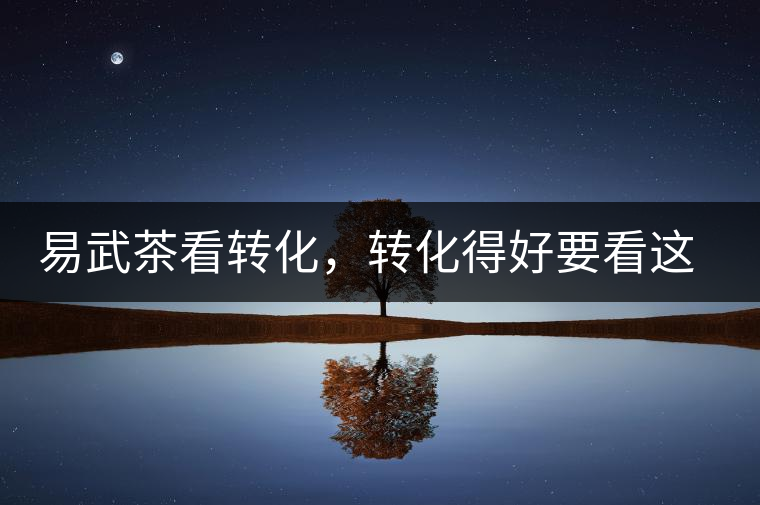 易武茶看轉(zhuǎn)化，轉(zhuǎn)化得好要看這三要素及品牌優(yōu)勢！