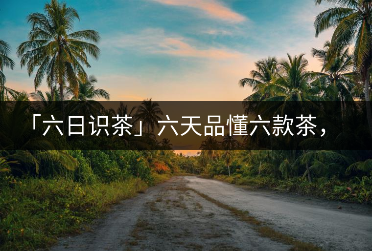 「六日識茶」六天品懂六款茶，從此愛上山頭茶