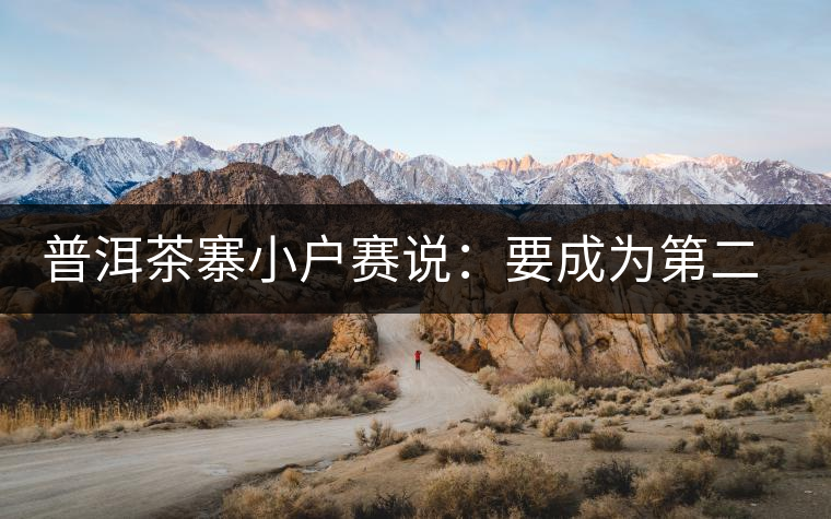 普洱茶寨小戶賽說：要成為第二個冰島，勐庫普洱茶圈都爆了！