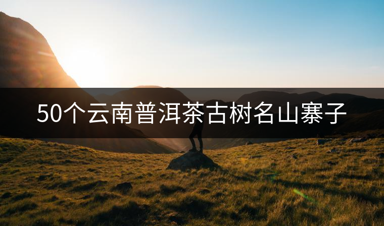 50個云南普洱茶古樹名山寨子 50個云南普洱茶古樹名山寨子
