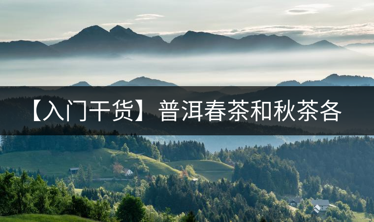 【入門干貨】普洱春茶和秋茶各有什么特點(diǎn)？怎樣辨識(shí)？