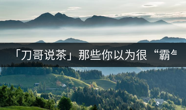 「刀哥說(shuō)茶」那些你以為很“霸氣”的茶，根本就不是...