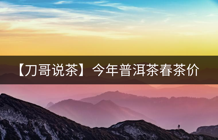 【刀哥說茶】今年普洱茶春茶價格，我不預測