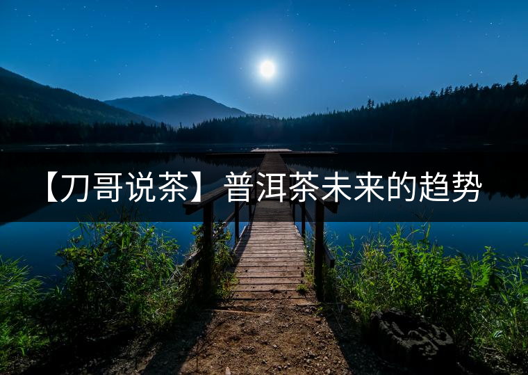 【刀哥說茶】普洱茶未來的趨勢，我看好熟茶