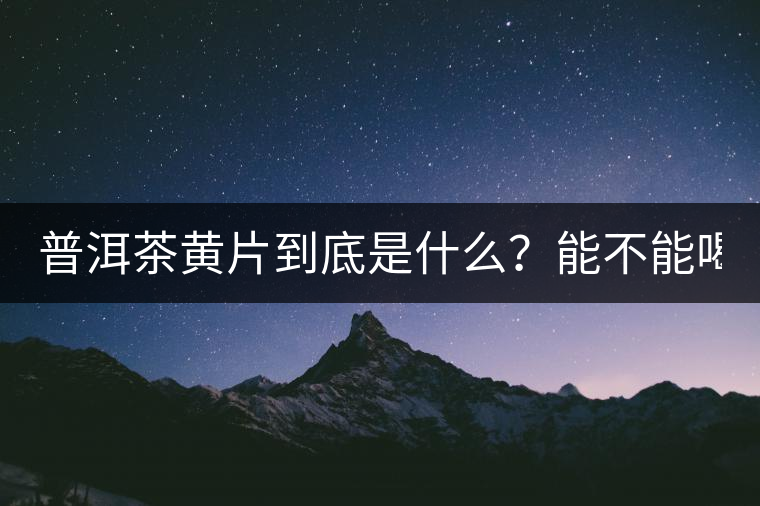 普洱茶黃片到底是什么？能不能喝？