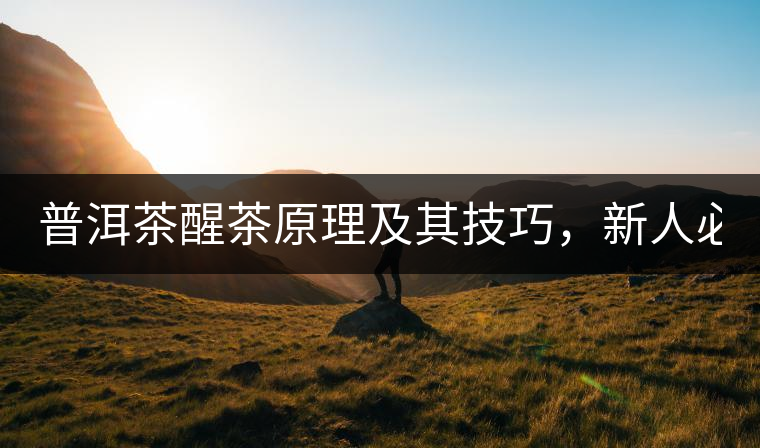 普洱茶醒茶原理及其技巧，新人必備！