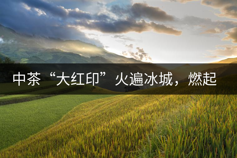 中茶“大紅印”火遍冰城，燃起普洱茶新味蕾