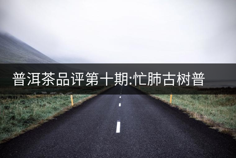 普洱茶品評(píng)第十期:忙肺古樹普洱茶品評(píng)第十期:忙肺古樹 普洱茶品評(píng)第十期:忙肺古樹普洱茶品評(píng)第十期:忙肺古樹