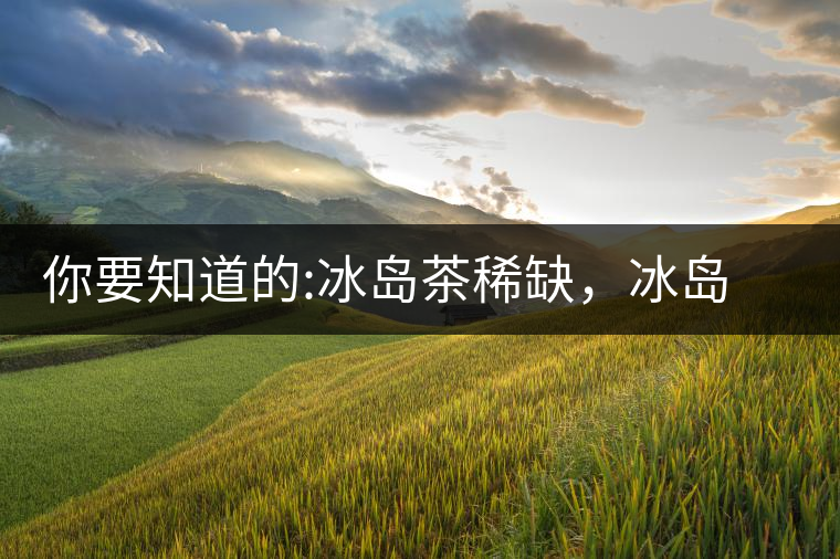 你要知道的:冰島茶稀缺，冰島熟茶更來之不易你要知道的：冰島茶稀缺，冰島熟茶更來之不易