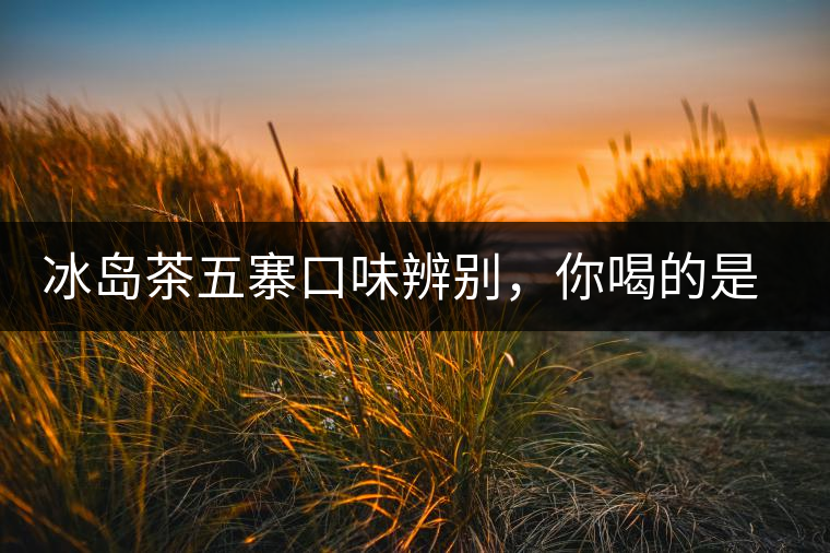 冰島茶五寨口味辨別，你喝的是正宗冰島茶嗎?冰島茶五寨口味辨別，你喝的是正宗冰島茶嗎？