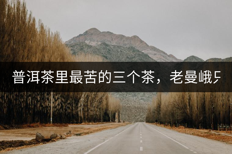 普洱茶里最苦的三個茶，老曼峨只能排第三！