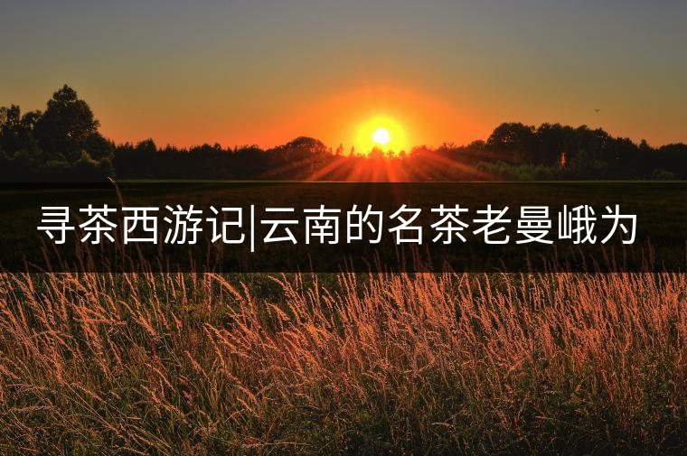 尋茶西游記|云南的名茶老曼峨為什么這么多人愛，這里...尋茶西游記｜云南的名茶老曼峨為什么這么多人愛，這里給你答案！