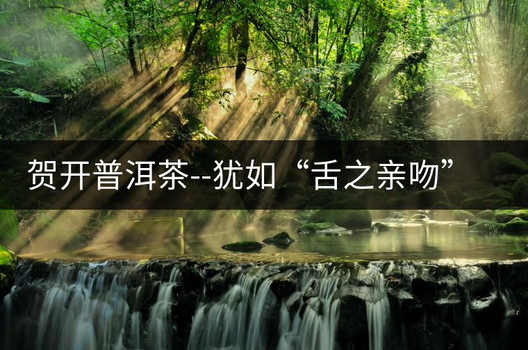 賀開普洱茶--猶如“舌之親吻”般柔滑賀開普洱茶——猶如“舌之親吻”般柔滑 賀開普洱茶--猶如“舌之親吻”般柔滑賀開普洱茶——猶如“舌之親吻”般柔滑