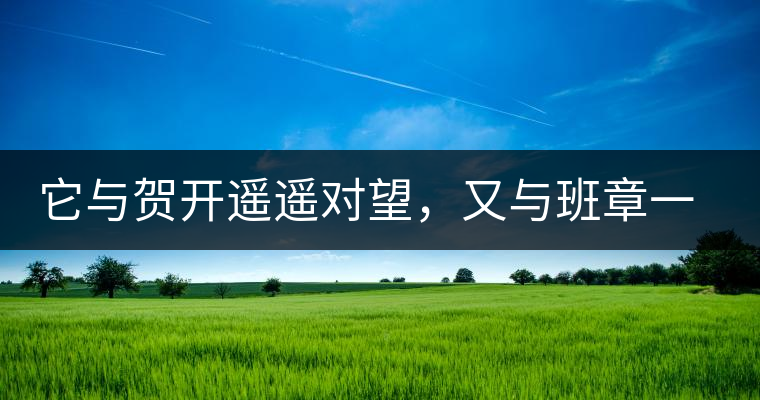 它與賀開遙遙對望，又與班章一衣帶水，它是班盆古樹春尖它與賀開遙遙對望，又與班章一衣帶水，它是班盆古樹春尖