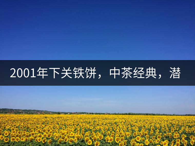 2001年下關(guān)鐵餅，中茶經(jīng)典，潛力可期!