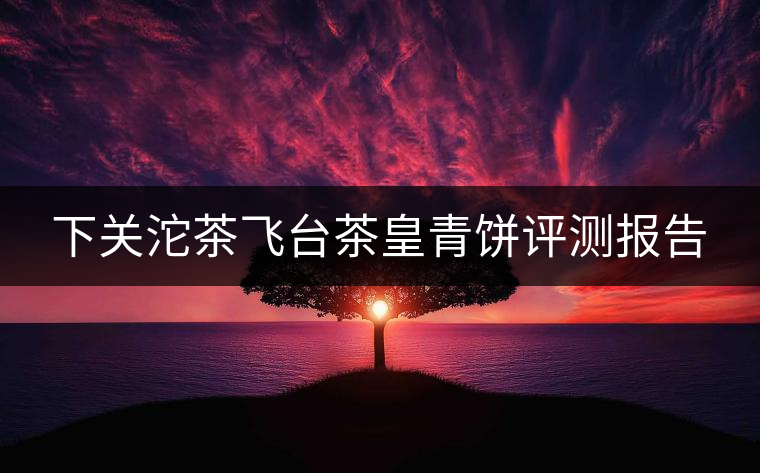 下關(guān)沱茶飛臺茶皇青餅評測報告 下關(guān)沱茶飛臺茶皇青餅評測報告