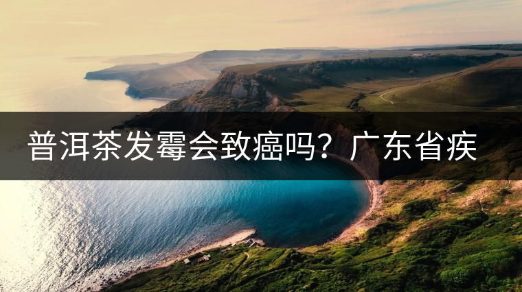普洱茶發(fā)霉會(huì)致癌嗎？廣東省疾病預(yù)防控制中心檢測(cè)的結(jié)果是…