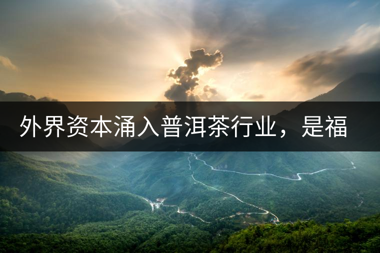 外界資本涌入普洱茶行業(yè)，是福還是禍？