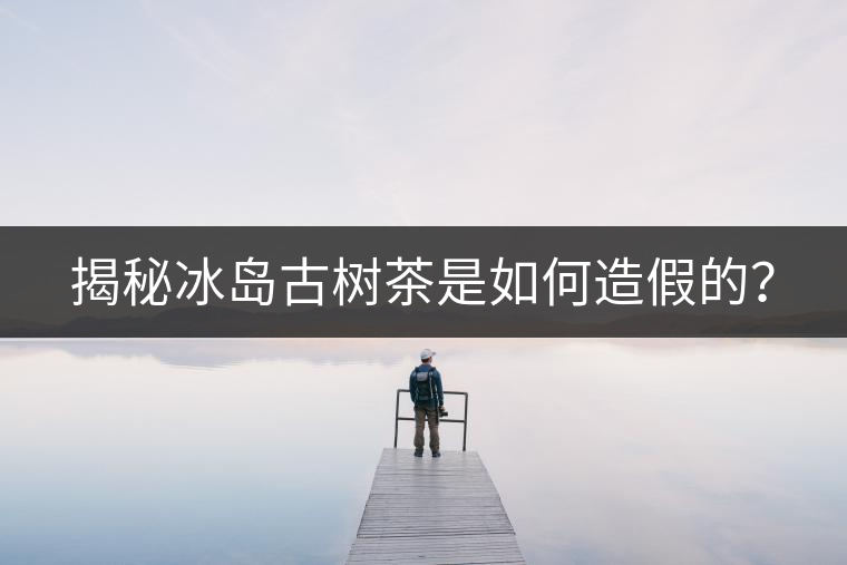 揭秘冰島古樹(shù)茶是如何造假的？