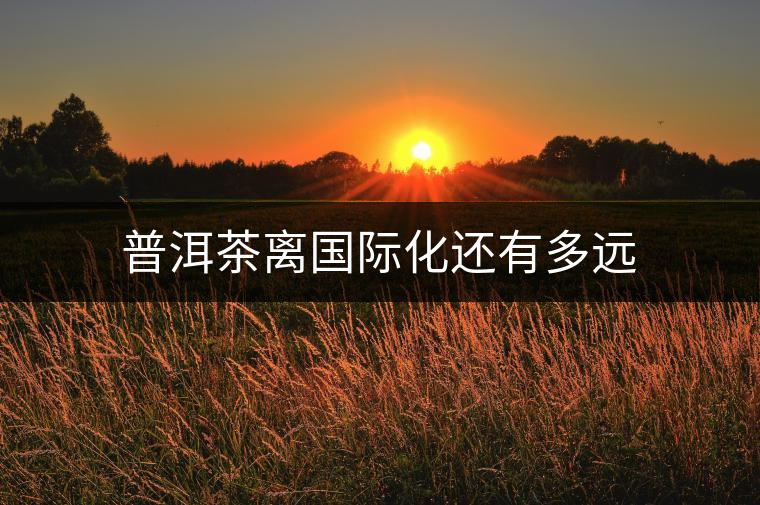 普洱茶離國際化還有多遠(yuǎn) 普洱茶離國際化還有多遠(yuǎn)