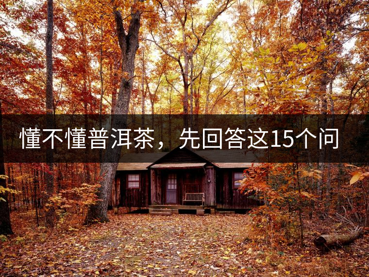懂不懂普洱茶，先回答這15個(gè)問(wèn)題試試？