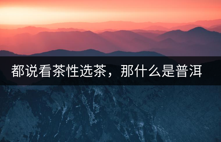 都說看茶性選茶，那什么是普洱茶的“茶性”呢？