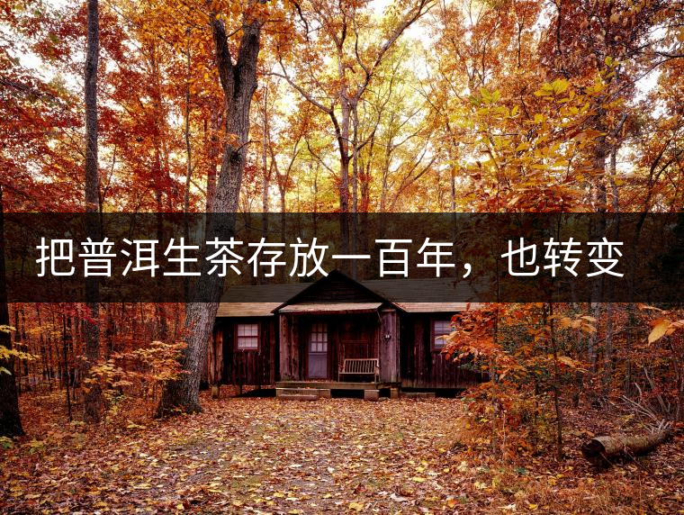 把普洱生茶存放一百年，也轉(zhuǎn)變不成熟茶