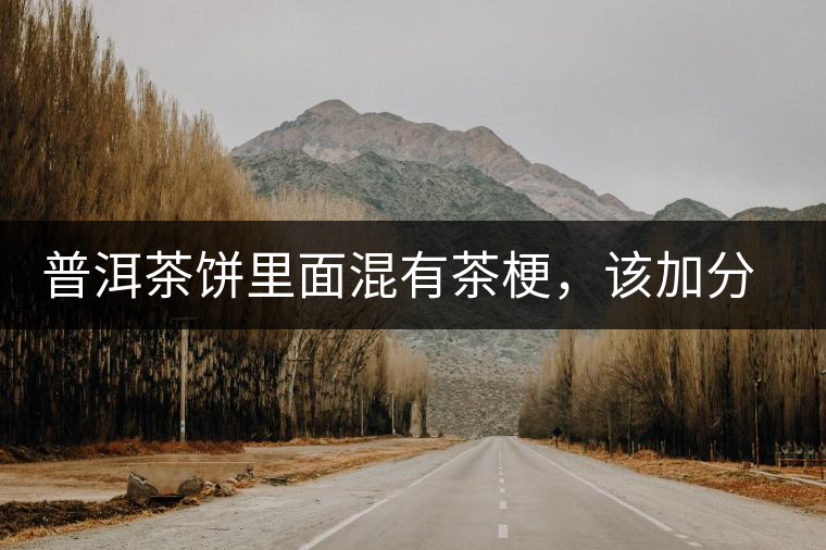 普洱茶餅里面混有茶梗，該加分還是減分？