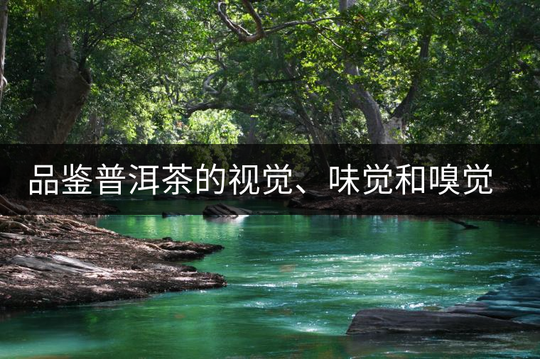 品鑒普洱茶的視覺、味覺和嗅覺指標(biāo)