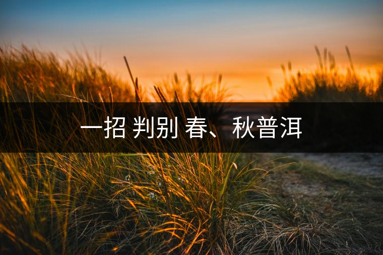 一招 判別 春、秋普洱