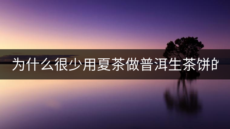 為什么很少用夏茶做普洱生茶餅的？