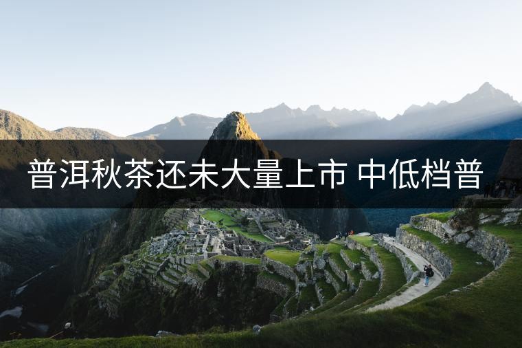 普洱秋茶還未大量上市 中低檔普洱同比價(jià)走高 普洱秋茶還未大量上市 中低檔普洱同比價(jià)走高